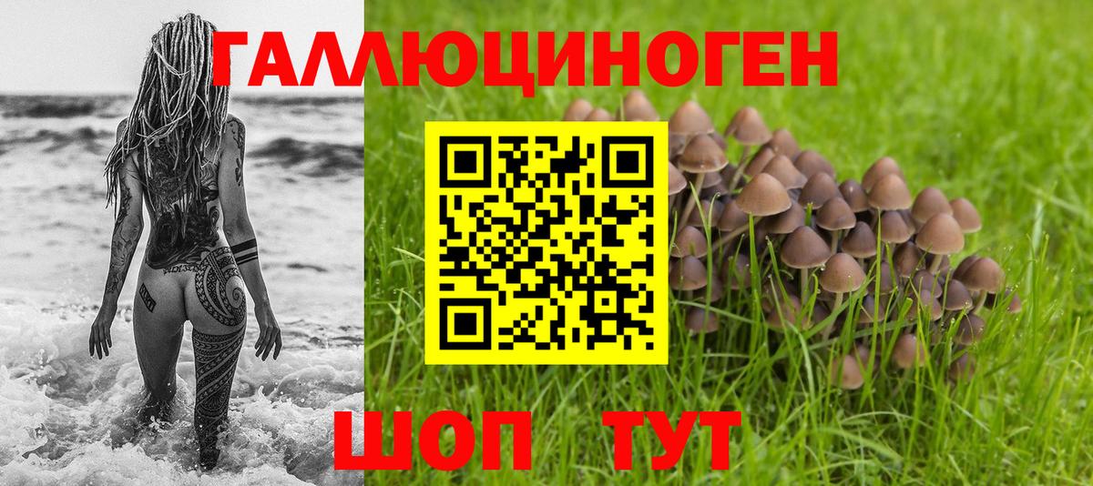 Галлюциногенные грибы мухоморы Малоярославец
