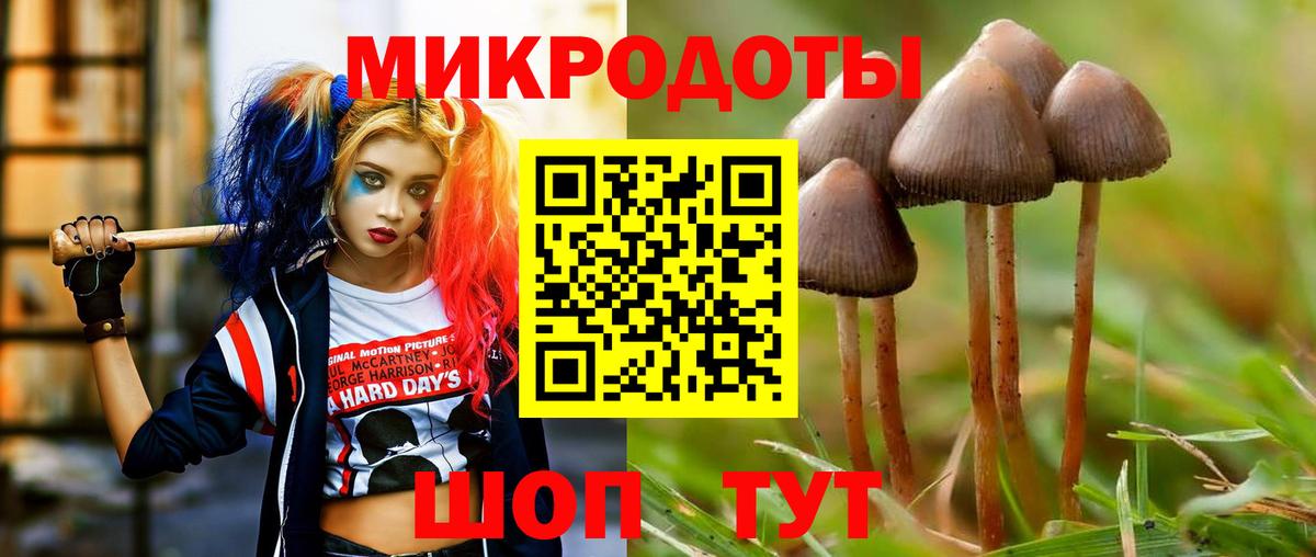 Галлюциногенные грибы Psilocybe  Вход с VPN  Псилоцибиновые грибы MAGIC MUSHROOMS  Малоярославец 